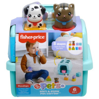 Сортировщик с блоками Fisher-Price HTW93 