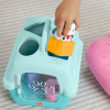 Сортировщик с блоками Fisher-Price HTW93 
