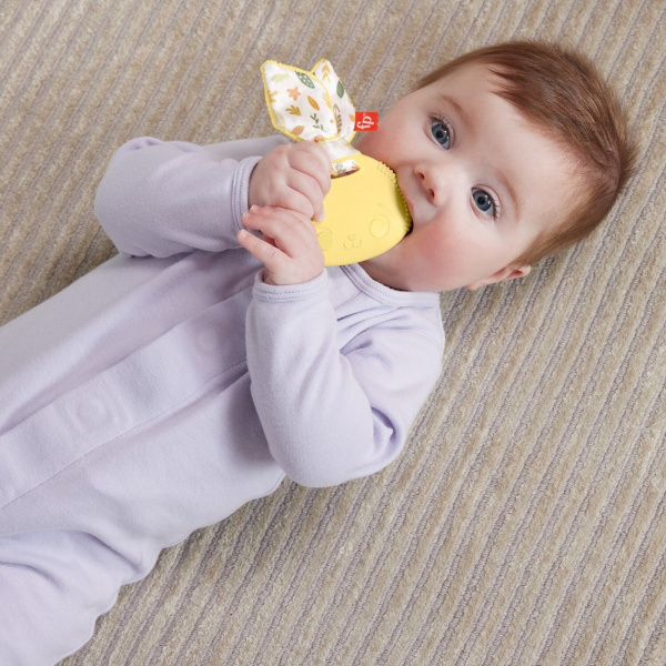 Прорезыватель Fisher-Price Themed Baby Toy Collection Милый зайка HRB20