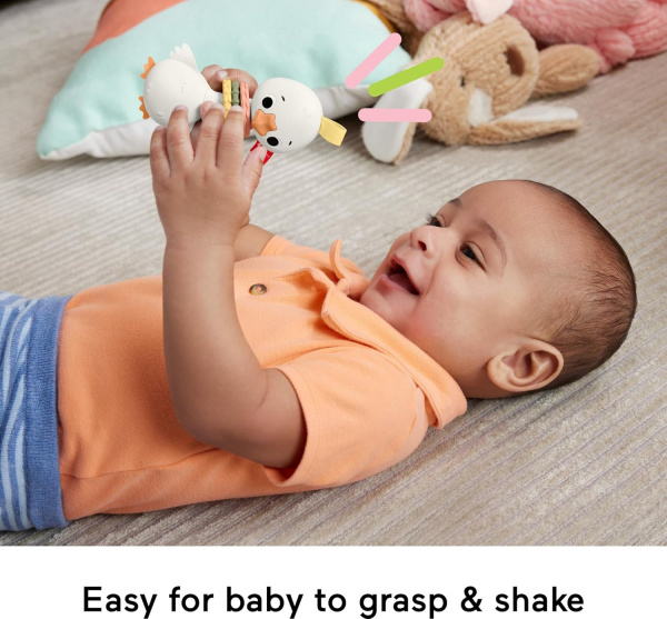 Погремушка Fisher-Price Themed Baby Toy Collection Крякающий гусь HRB22