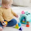 Сортировщик с блоками Fisher-Price HTW93 