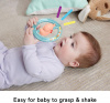 Погремушка Fisher-Price Themed Baby Toy Collection Аксолотль HRB19