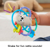 Прорезыватель для зубов FISHER-PRICE BABY HJW12