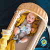Игрушка для коляски Taf Toys Кимми Коала 12405