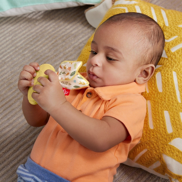 Прорезыватель Fisher-Price Themed Baby Toy Collection Милый зайка HRB20
